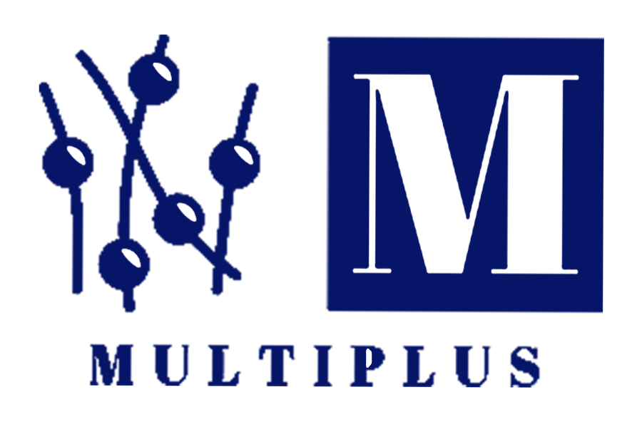 MultiPlus