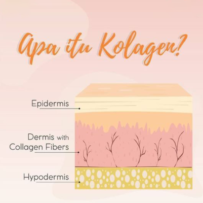 Apa-Itu-Kolagen