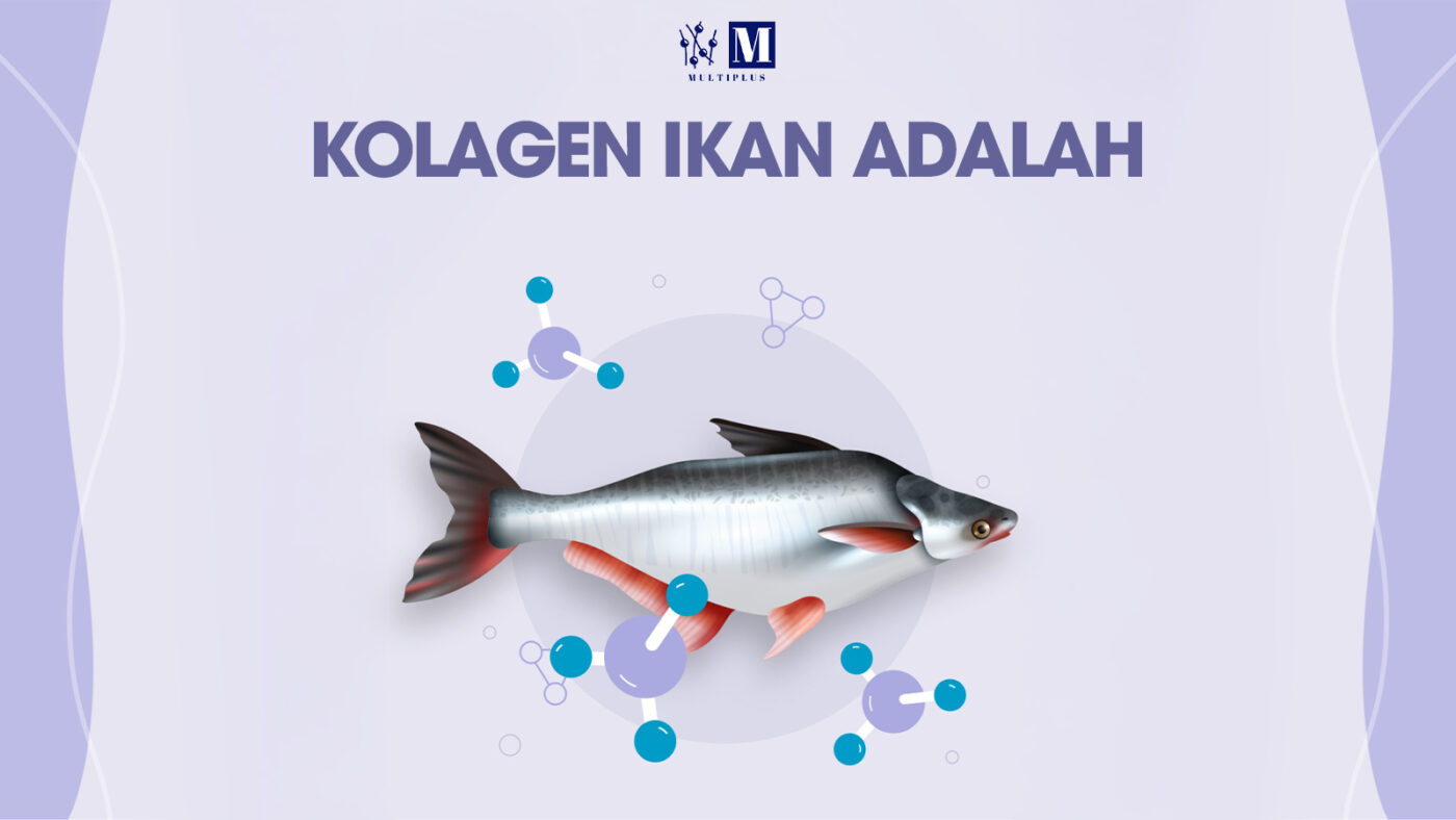 collagen-fish-1